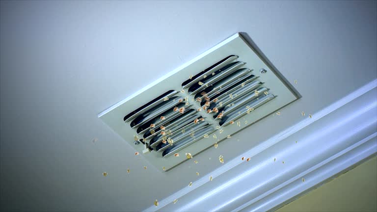Best Ventilation Cleaning Services  in Seeley Lake, MT